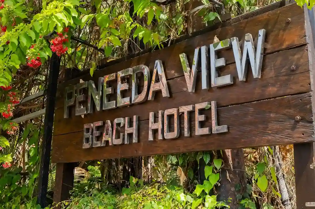 Peneeda View Gallery